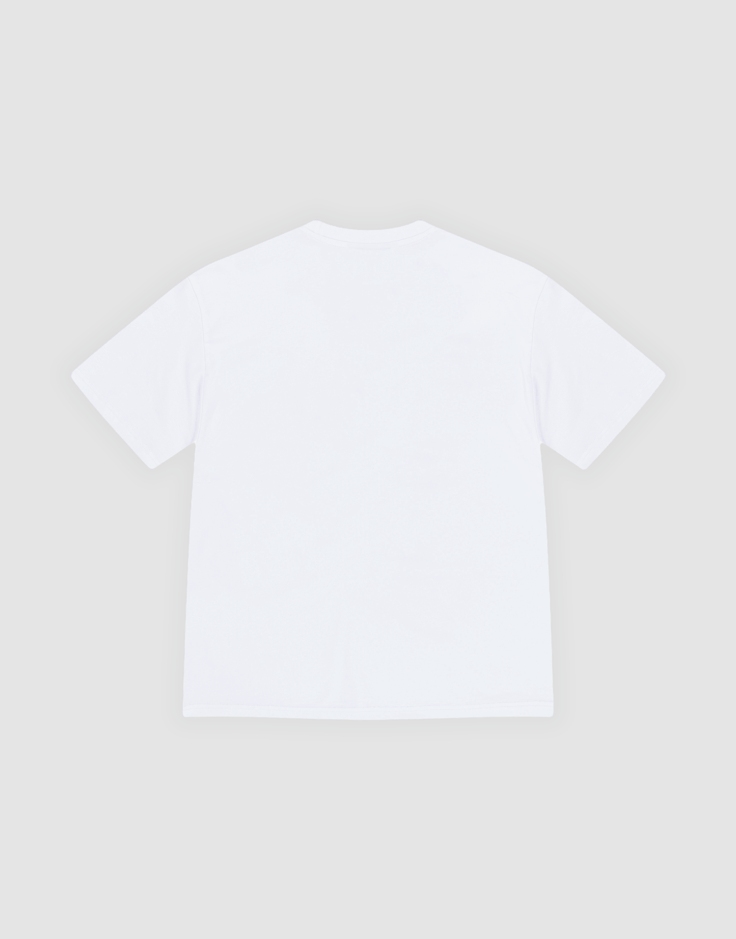 LFDY Authorities Tee