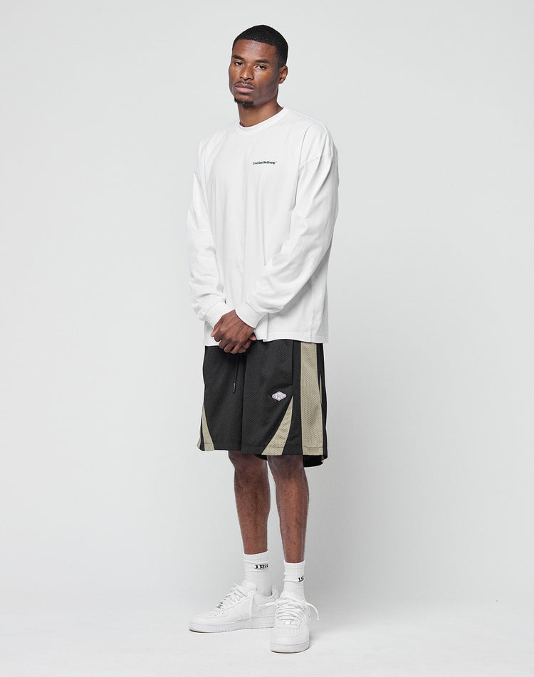 Basic Longsleeve
