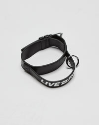 LFDY Dog Collar