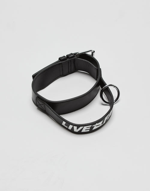 The LFDY Dog Collar by LIVE FAST DIE YOUNG is a black 100% leather collar with a stainless steel buckle and ring. The attached strap has embossed branding and LIVE in bold white letters, displayed on a plain white background.