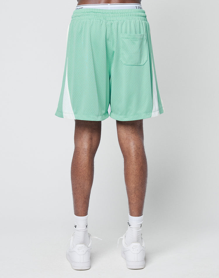 Striped Mesh Shorts