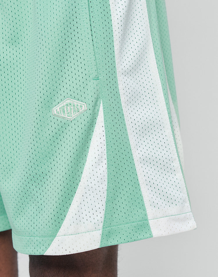 Striped Mesh Shorts