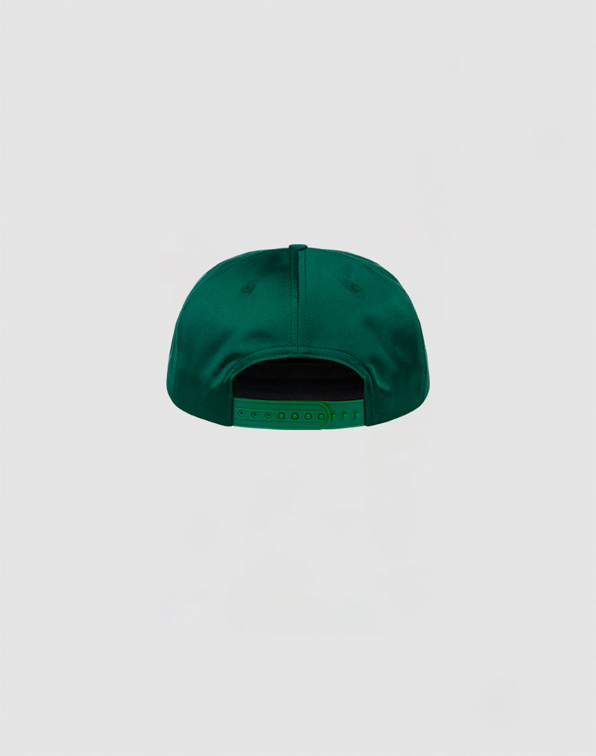 The LIVE FAST DIE YOUNG LFDY Satin Snapback is shown from the back, displaying an adjustable Snapverschluss and detailed 3D-Stick embroidery against a plain light gray background.