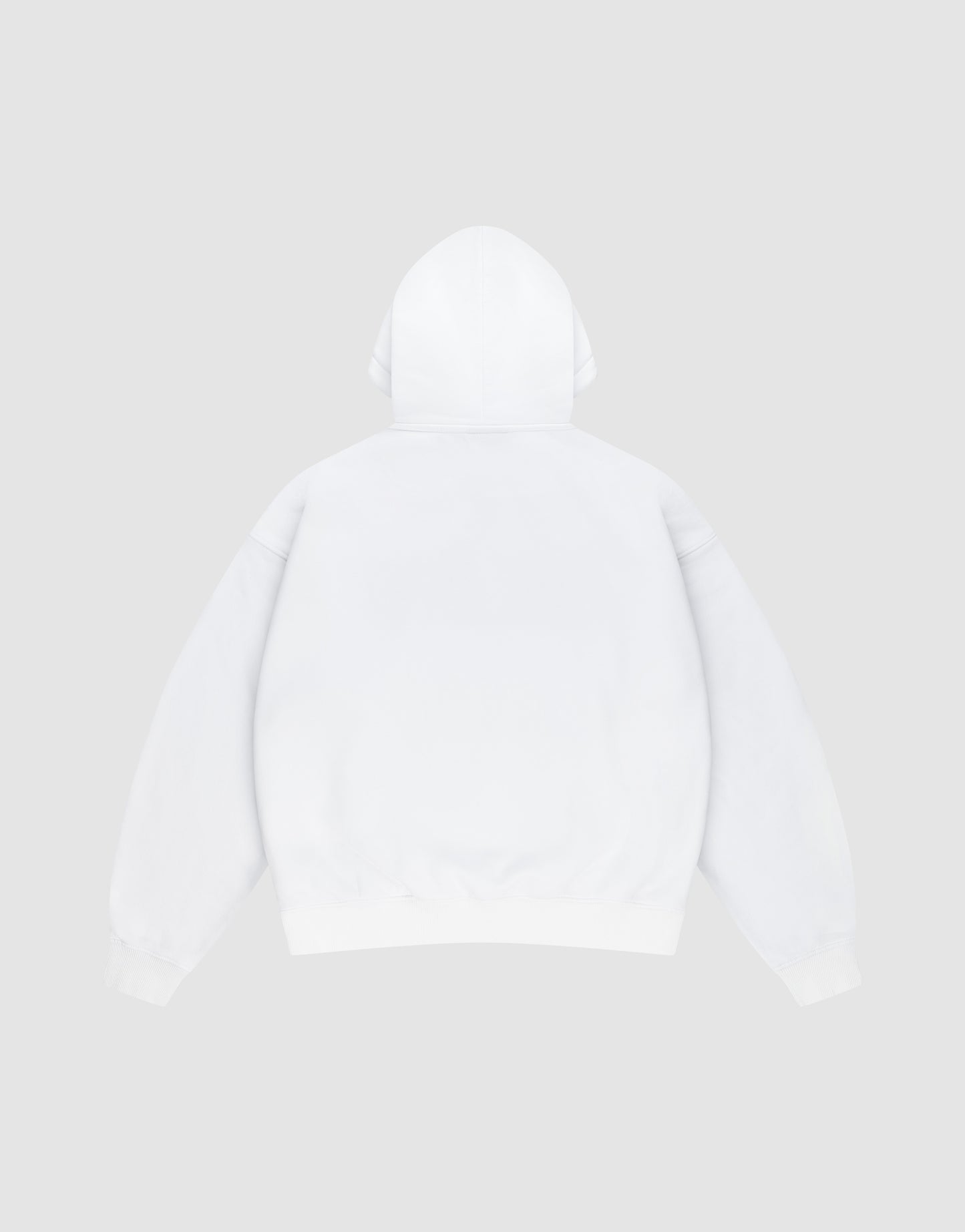 The LIVE FAST DIE YOUNG Live Fast Europe Run Hooded sweatshirt is shown laid flat, back view, on a light gray background with hood and sleeves spread for an easy, oversized look.