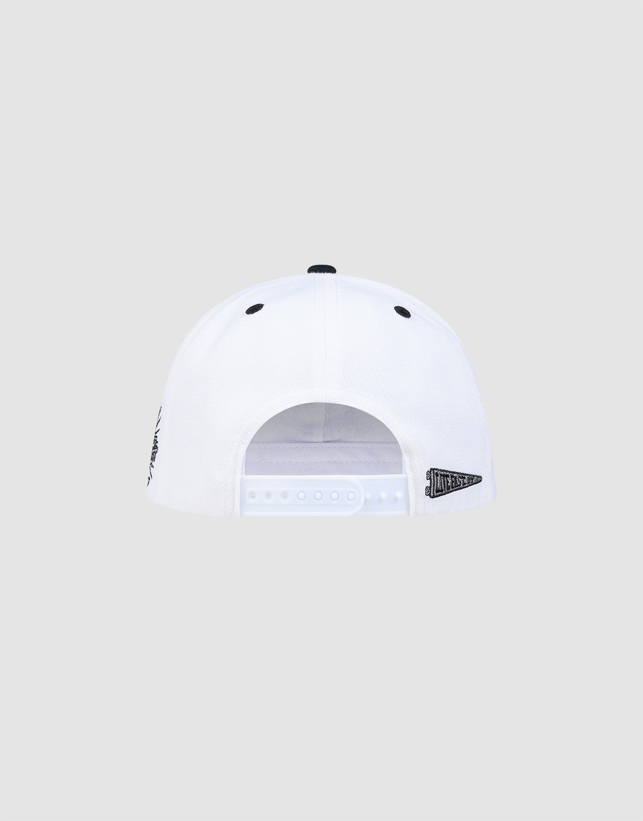 The LFDY Snapback by LIVE FAST DIE YOUNG is shown from the back, featuring an adjustable snap closure, small black multi-logo stitching, and a green underbrim, set against a plain light gray background.