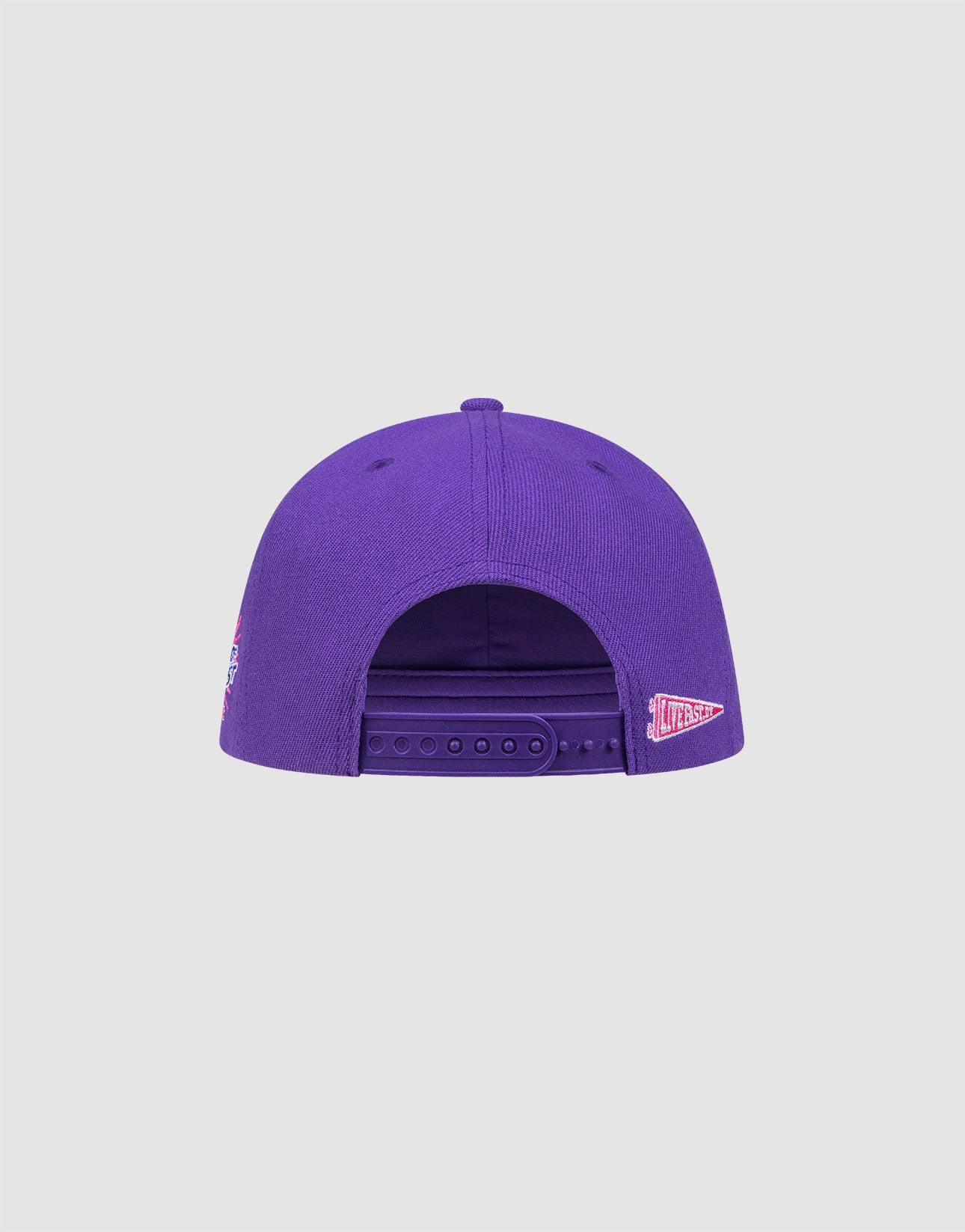 The LFDY Snapback by LIVE FAST DIE YOUNG is shown from the back in purple, with a Snapverschluss, green Schirmunterseite, and a small embroidered logo above the rim on the left side. The background is plain light gray.