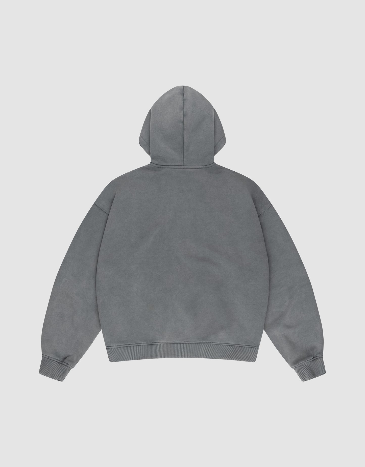 A plain grey LIVE FAST DIE YOUNG Basic Hooded Zip, shown from the back with long sleeves and no visible logo or designs, displayed on a white background in an oversized fit.