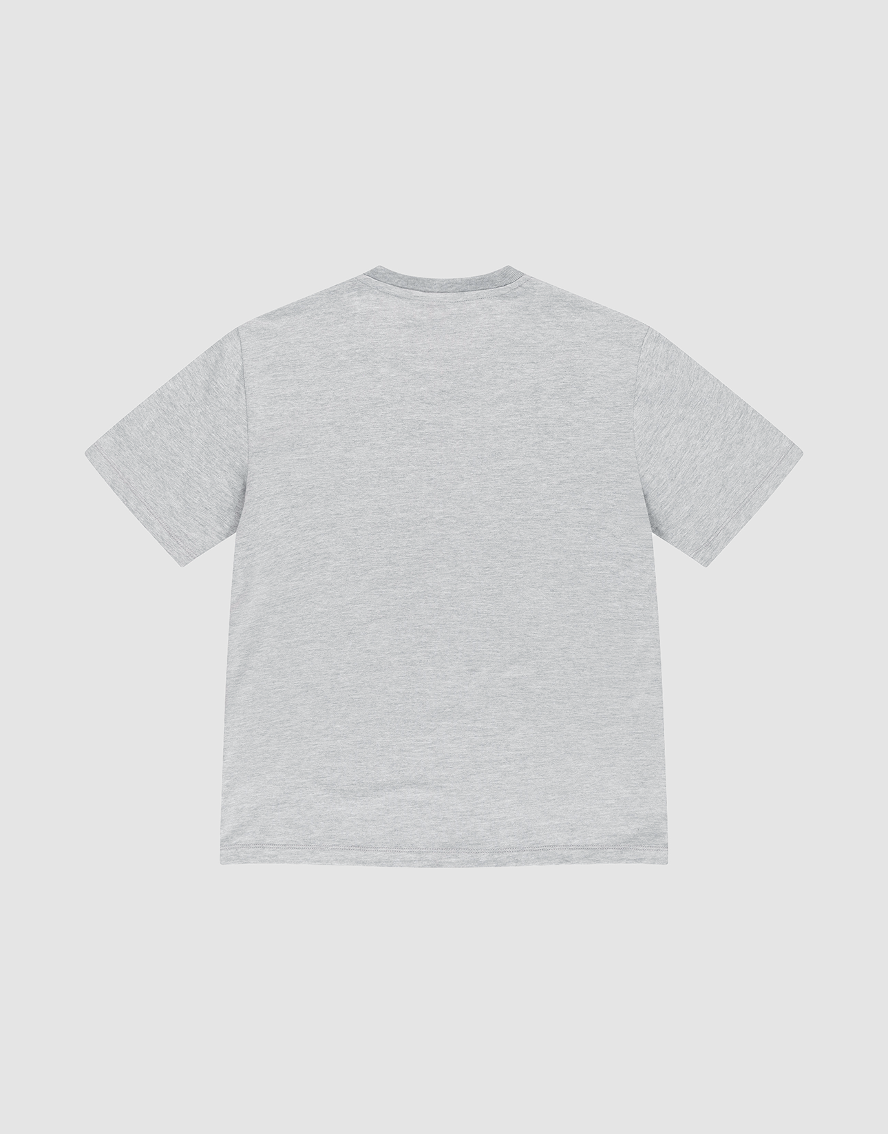 The LFDY Slim Tee by LIVE FAST DIE YOUNG is a plain light gray slim fit shirt made from soft Baumwolle, shown from the back with a subtle flag-label detail, laid flat against a white background.
