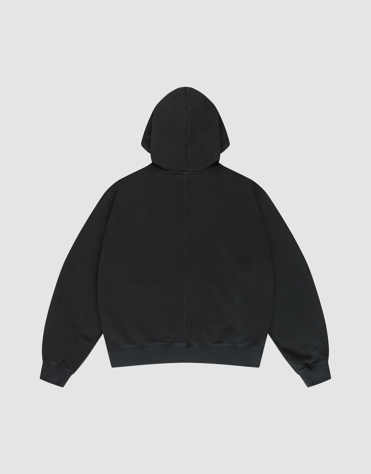 The LFDY Lightweight Hooded Zip by LIVE FAST DIE YOUNG is displayed on a light gray background, shown from the back with the hood up and sleeves spread out.