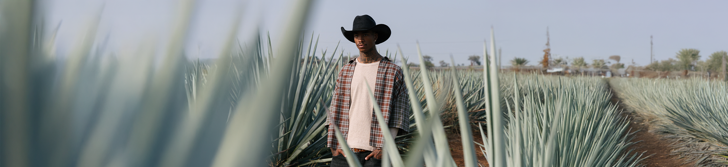 A man wearing a black cowboy hat and plaid shirt stands in the middle of an agave field, surrounded by tall, spiky leaves under a clear sky.