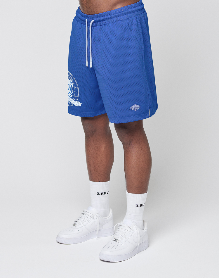 LFDY Data Mesh Shorts