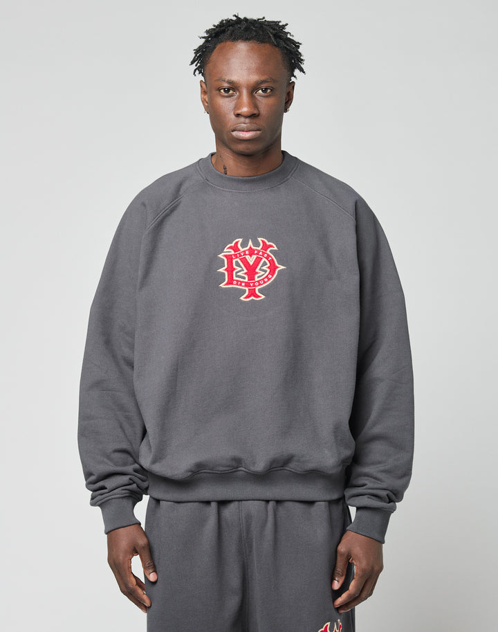 A person stands facing forward in a loose-fitting DY Sweater by LIVE FAST DIE YOUNG, made from cotton. The dark grey oversize sweatshirt displays a red and white graphic logo on the chest. The background is plain and light-colored. | model
