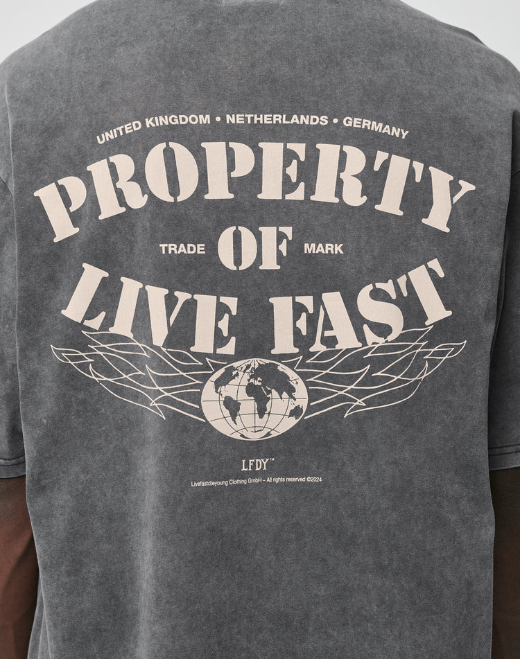 LFDY Property Tee