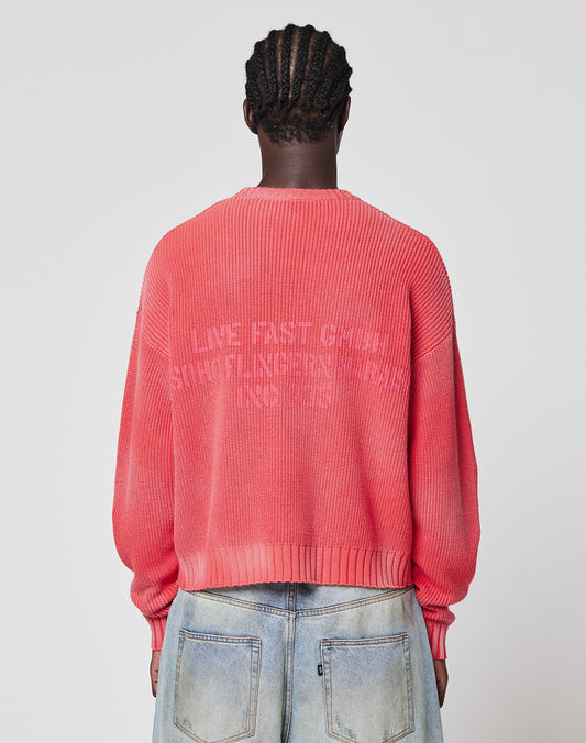 A person with short, braided hair is shown from the back in the LIVE FAST DIE YOUNG Washed Knit Sweater—an oversize coral style made from 100% Baumwolle with faint white text—paired with light blue baggy jeans against a plain background.