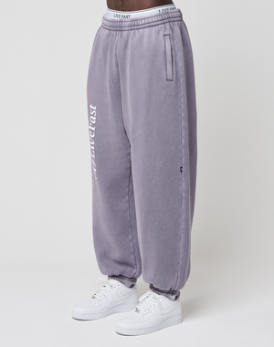 A person wears LIVE FAST DIE YOUNG’s LFDY Hotline Loose Jogger in washed lavender with an elastic waistband, leg print reading PAST and LOST, and elastic cuffs. Styled with white sneakers against a plain white background.