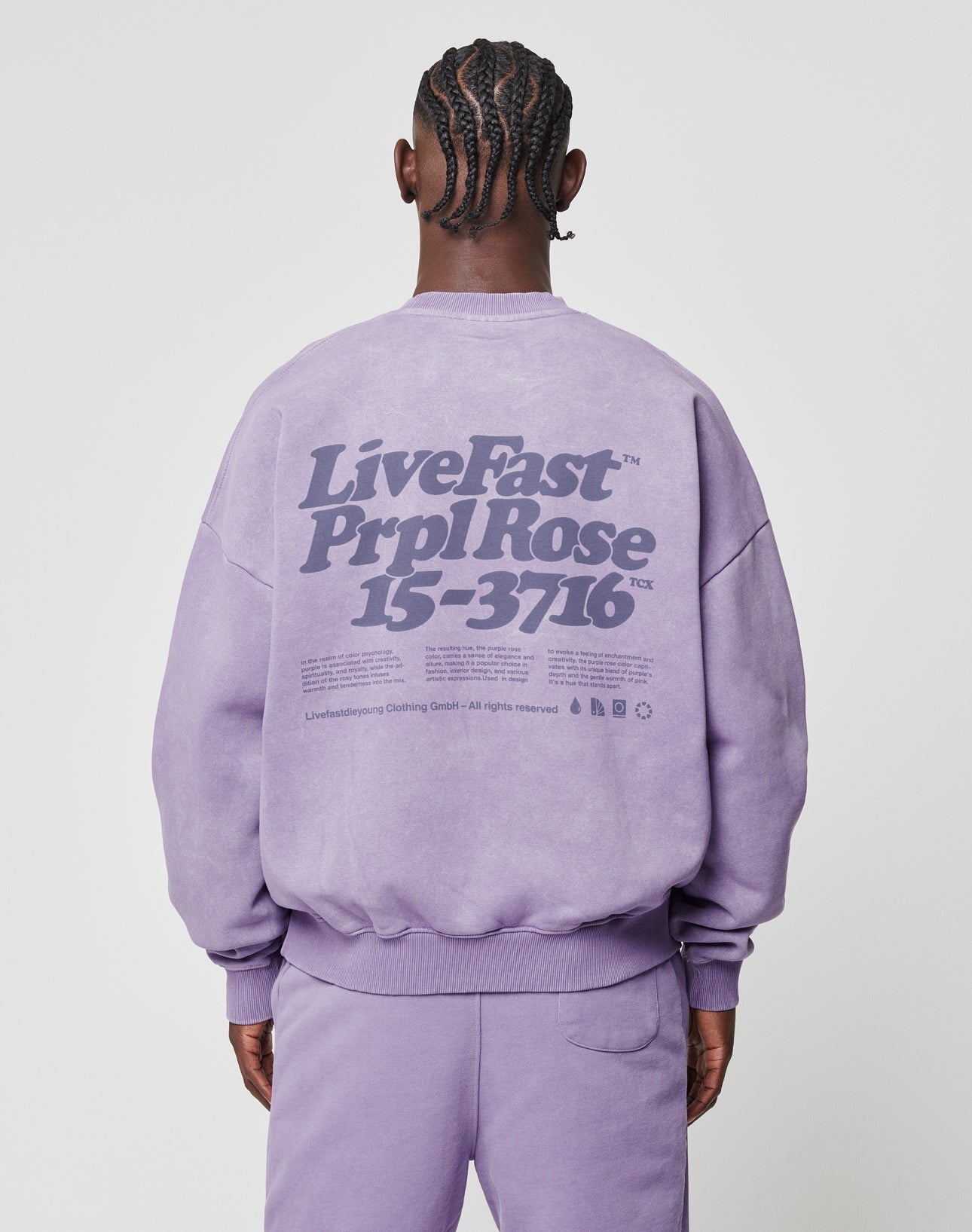 Basic Purple Sweater