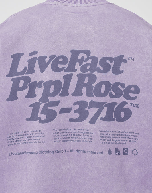 Basic Purple Sweater by LIVE FAST DIE YOUNG features bold LiveFast Prpl Rose 15-3716 TCX text, an oversize fit, and subtle vintage wash. Below are smaller details, brand info, symbols, and a copyright notice.