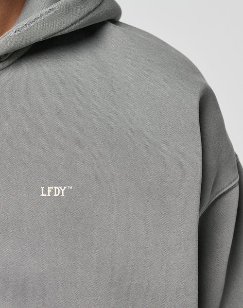 Close-up of a person wearing the LIVE FAST DIE YOUNG Basic Hooded Zip in gray, featuring a subtle white LFDY™ logo on the chest and a soft Faded Look. The hood and shoulder are partially visible.