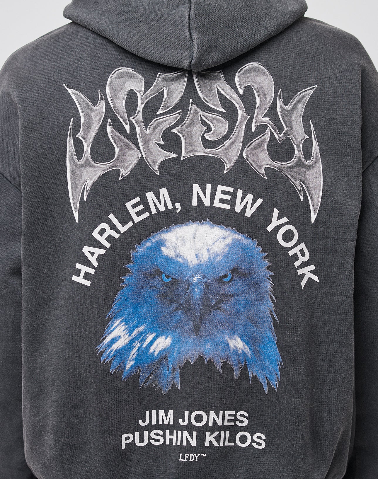 LFDY Eagle Hooded