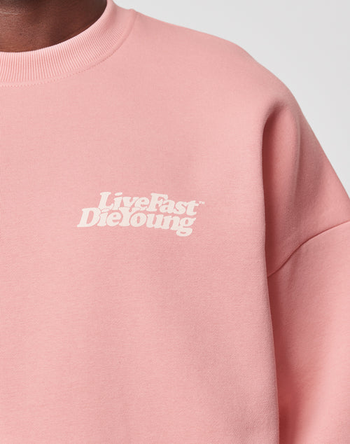 Close-up of the Basic Chest Sweater by LIVE FAST DIE YOUNG, a light pink oversized sweatshirt with white Live Fast Die Young text on the front left. Plain background, with part of a persons neck and chin visible.