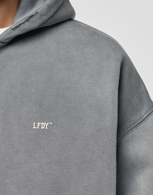 A close-up of a person wearing the LIVE FAST DIE YOUNG Basic Hooded Zip in faded grey. The hoodie features a small white LFDY™ logo on the chest, subtle distressing, and a casual oversized fit against a plain light background.