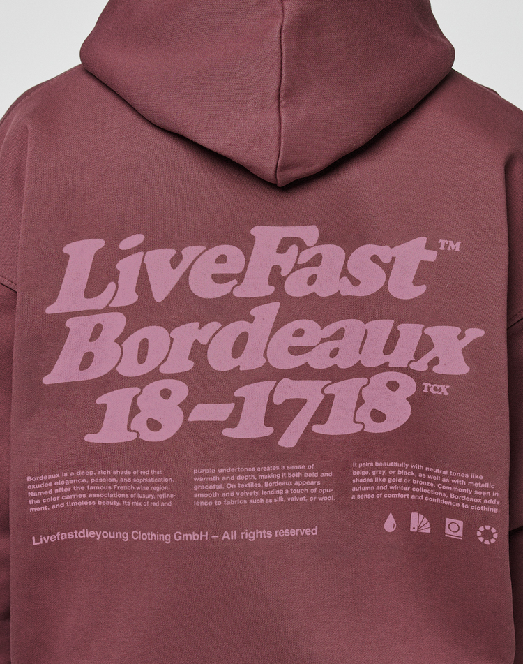Basic 360 Hooded
