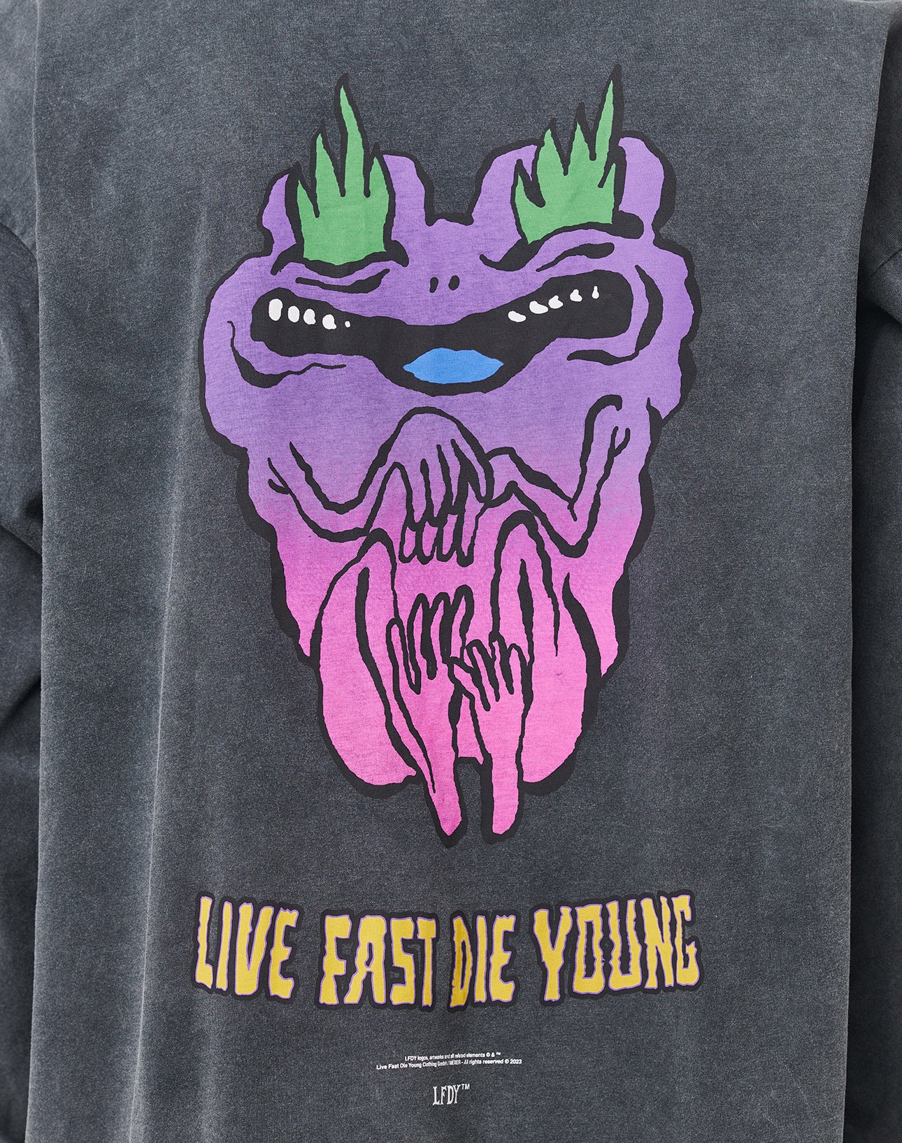 Burning Frog Longsleeve