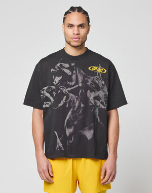 A man wears the LIVE FAST DIE YOUNG LFDY Bark Tee—an oversize black shirt featuring three snarling dogs and LIVE FAST in yellow—paired with bright yellow shorts, standing against a plain white background.