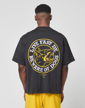 A person faces away from the camera, wearing the LIVE FAST DIE YOUNG LFDY Circle Dog Tee—an oversized black vintage-washed t-shirt with a large yellow and white snarling dog graphic and LIVE FAST DY BEWARE OF DOGS on the back.