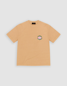 plain