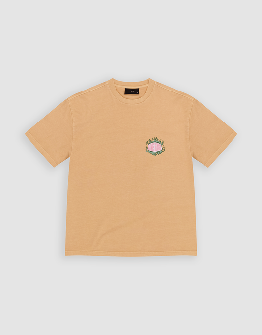 plain