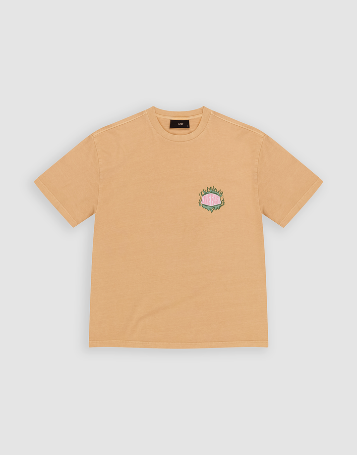 plain