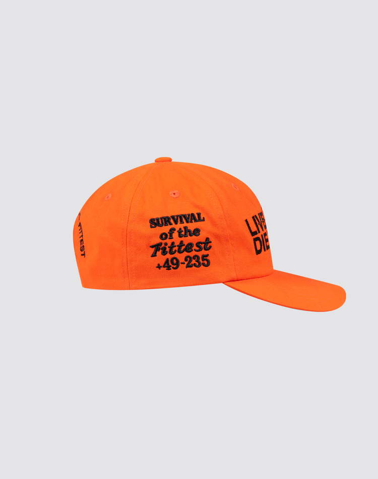 LFDY Unstructured Cap
