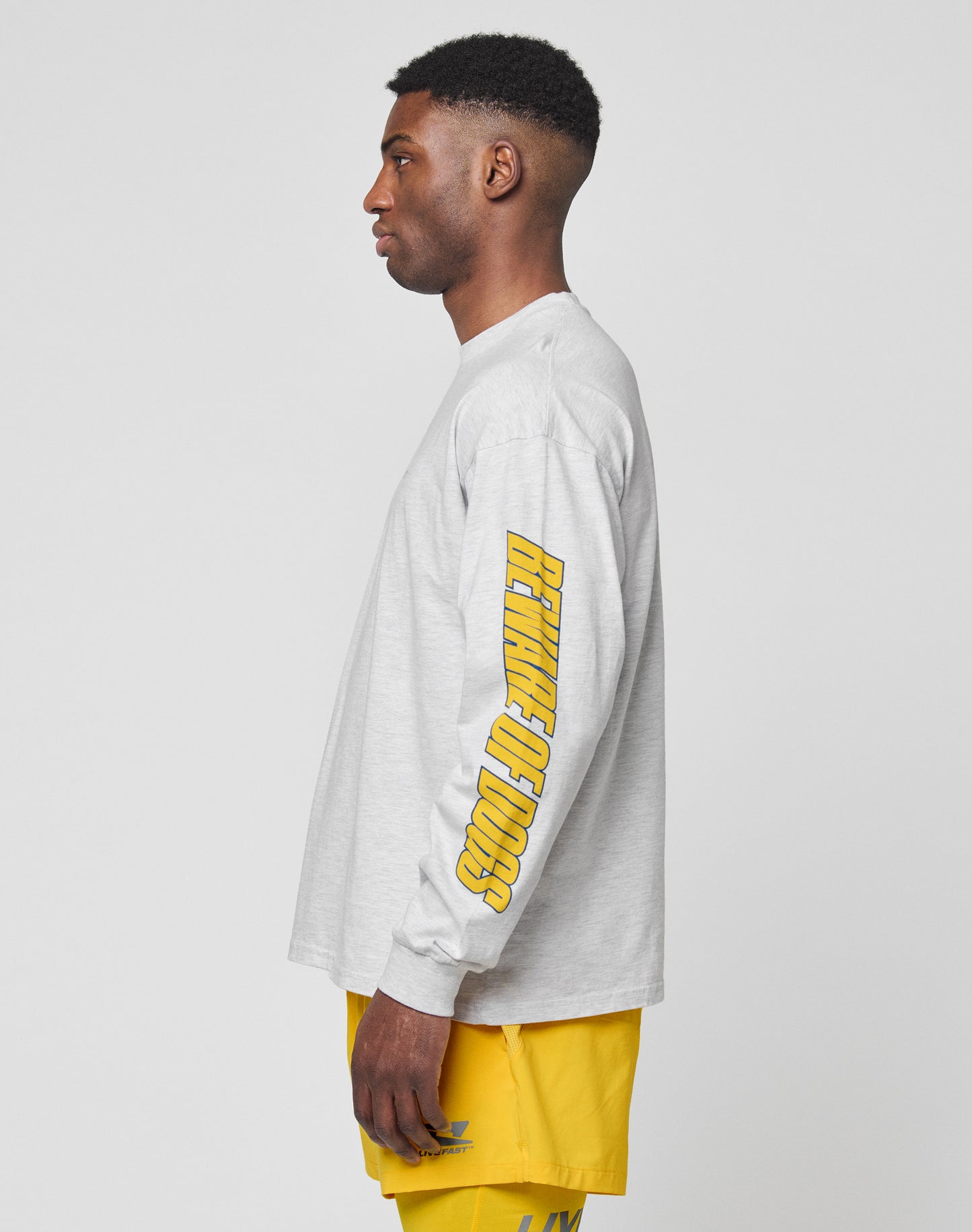 LFDY Split Sphere Longsleeve