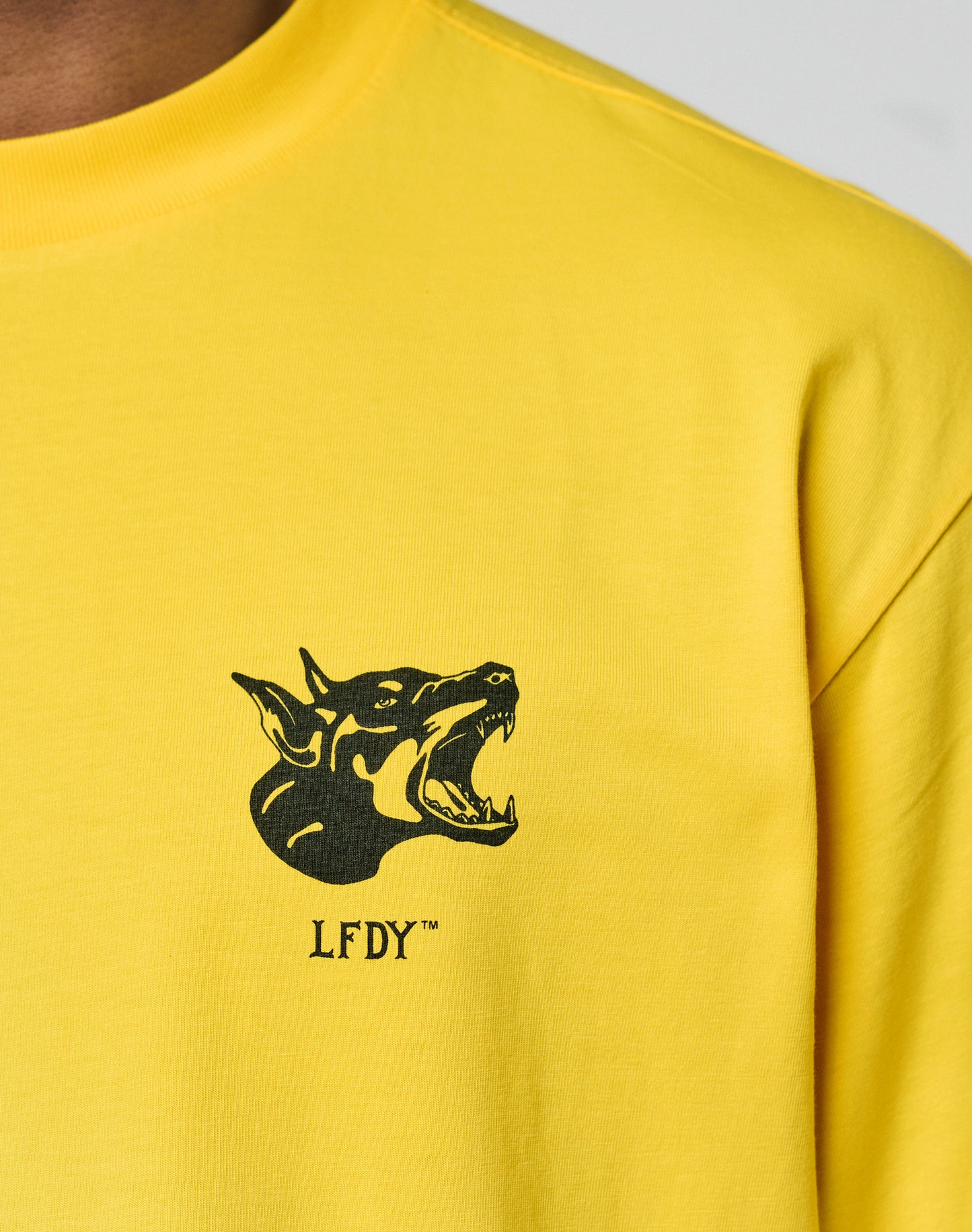 LFDY Circle Dog Tee