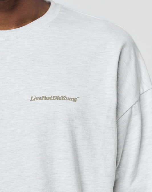 A close-up of someone wearing the LIVE FAST DIE YOUNG Basic Longsleeve, an oversize fit light gray sweatshirt crafted from 100% Baumwolle, with a subtle chest logo-print in small gray āLiveFastDieYoungā capitals. Face not fully shown.
