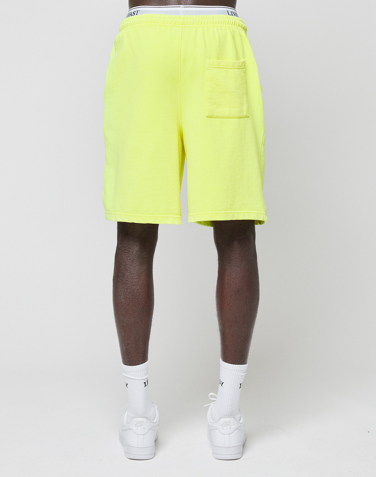 Basic Shorts