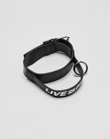 The LFDY Dog Collar by LIVE FAST DIE YOUNG is a black 100% leather collar with a stainless steel buckle and ring. The attached strap has embossed branding and LIVE in bold white letters, displayed on a plain white background.