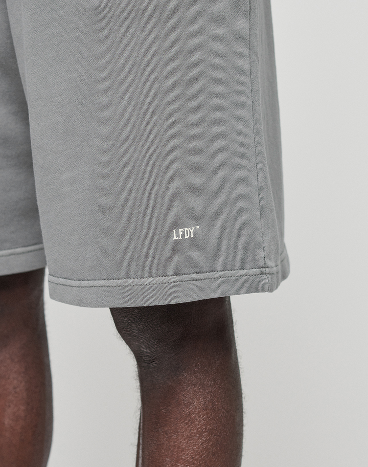 A close-up of a person wearing LIVE FAST DIE YOUNG Basic Shorts in gray, regular fit, with a small white LFDY logo by the hem on one leg. The background is plain and light-colored.