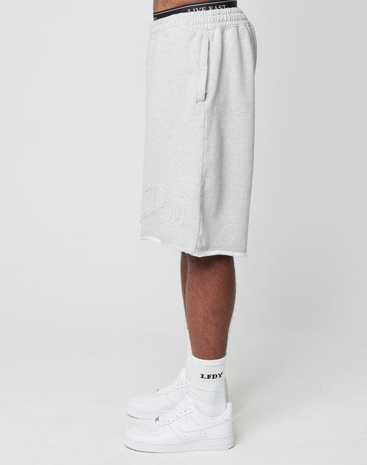 Ripped College Shorts