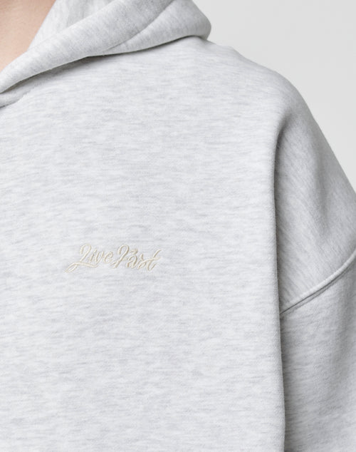 Close-up of the Basic Script Hooded Zip by LIVE FAST DIE YOUNG in light gray, cropped fit. Features visible hood and subtle Live Past cursive embroidery on the chest. Made from soft Baumwolle with a plain, light background.
