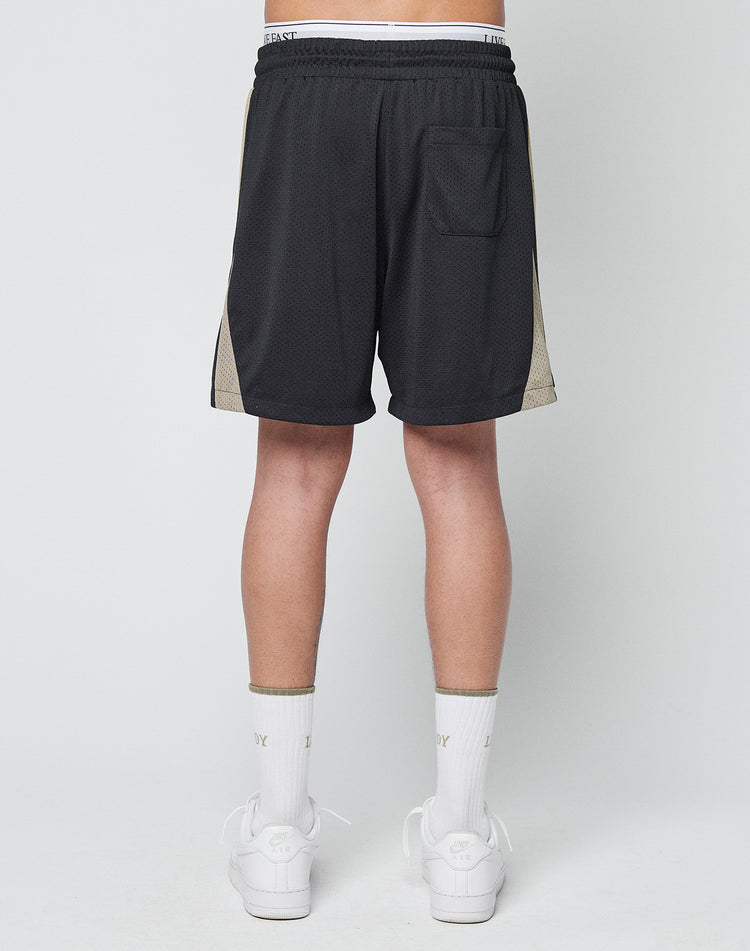 Striped Mesh Shorts