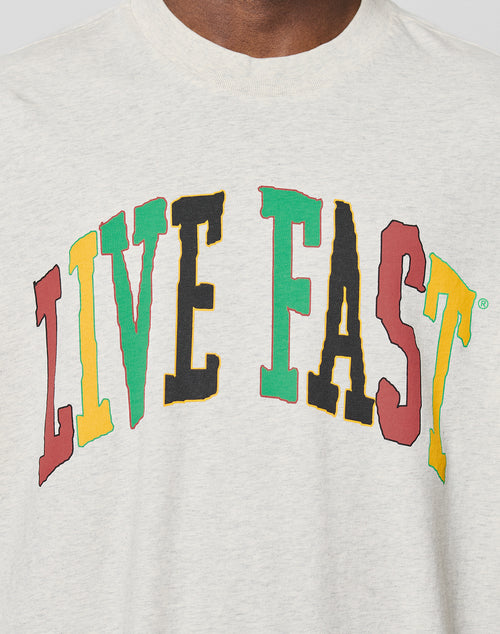 LFDY College Tee in Grau Brustlogo 