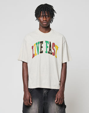 LFDY College Tee in Grau