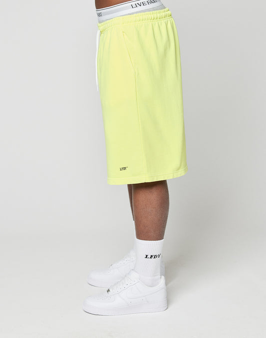 Basic Shorts