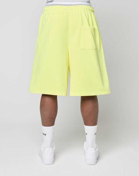 Basic Shorts
