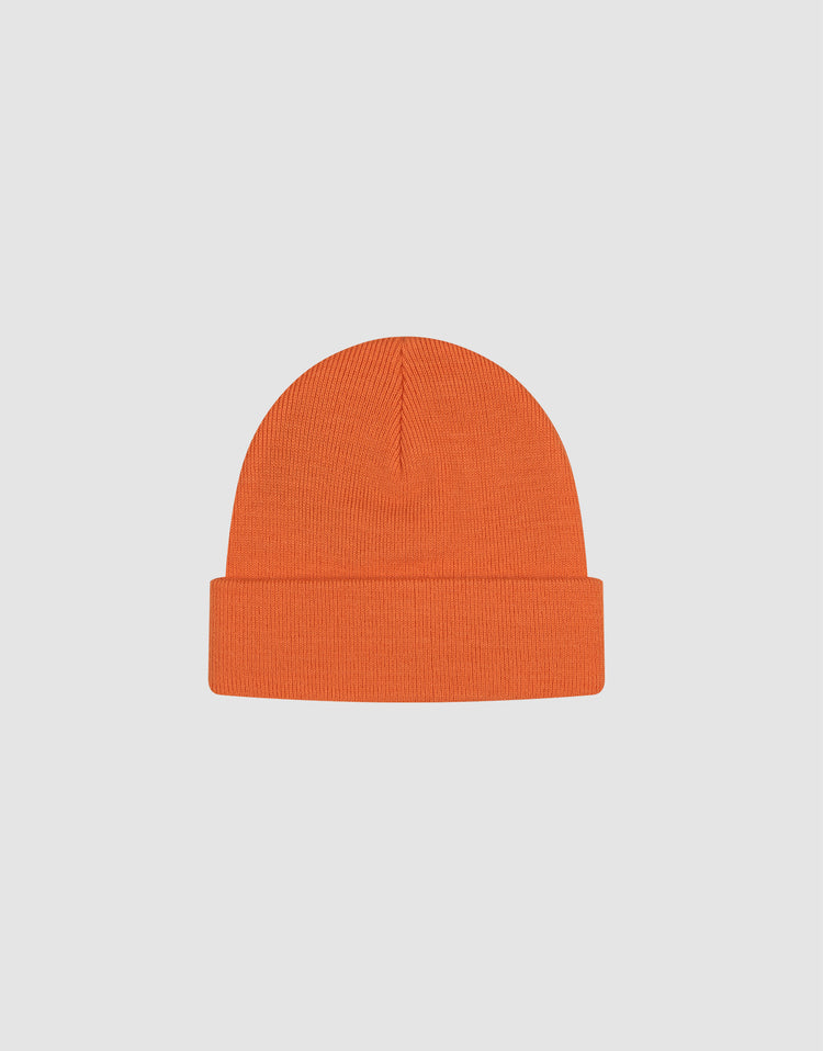 Basic Beanie