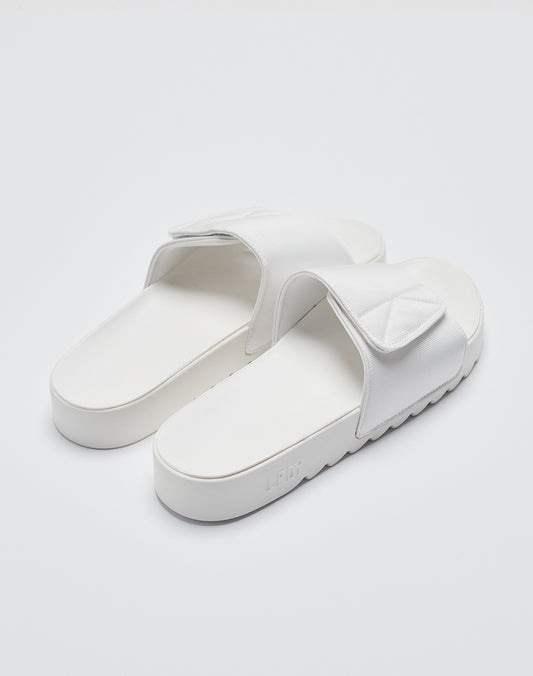LFDY Slides