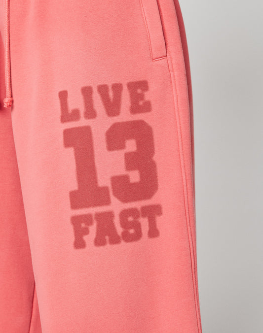 LFDY 13 Jogger