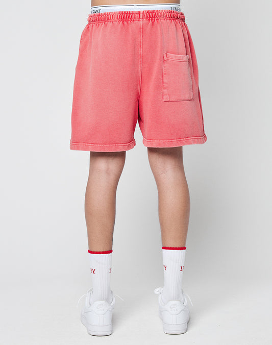 Basic Sweat Shorts